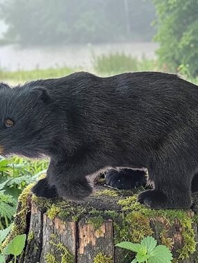 Real Fur Black Bear Figurine Figure Lodge Cabincore Decor Vintage Glass Eyes